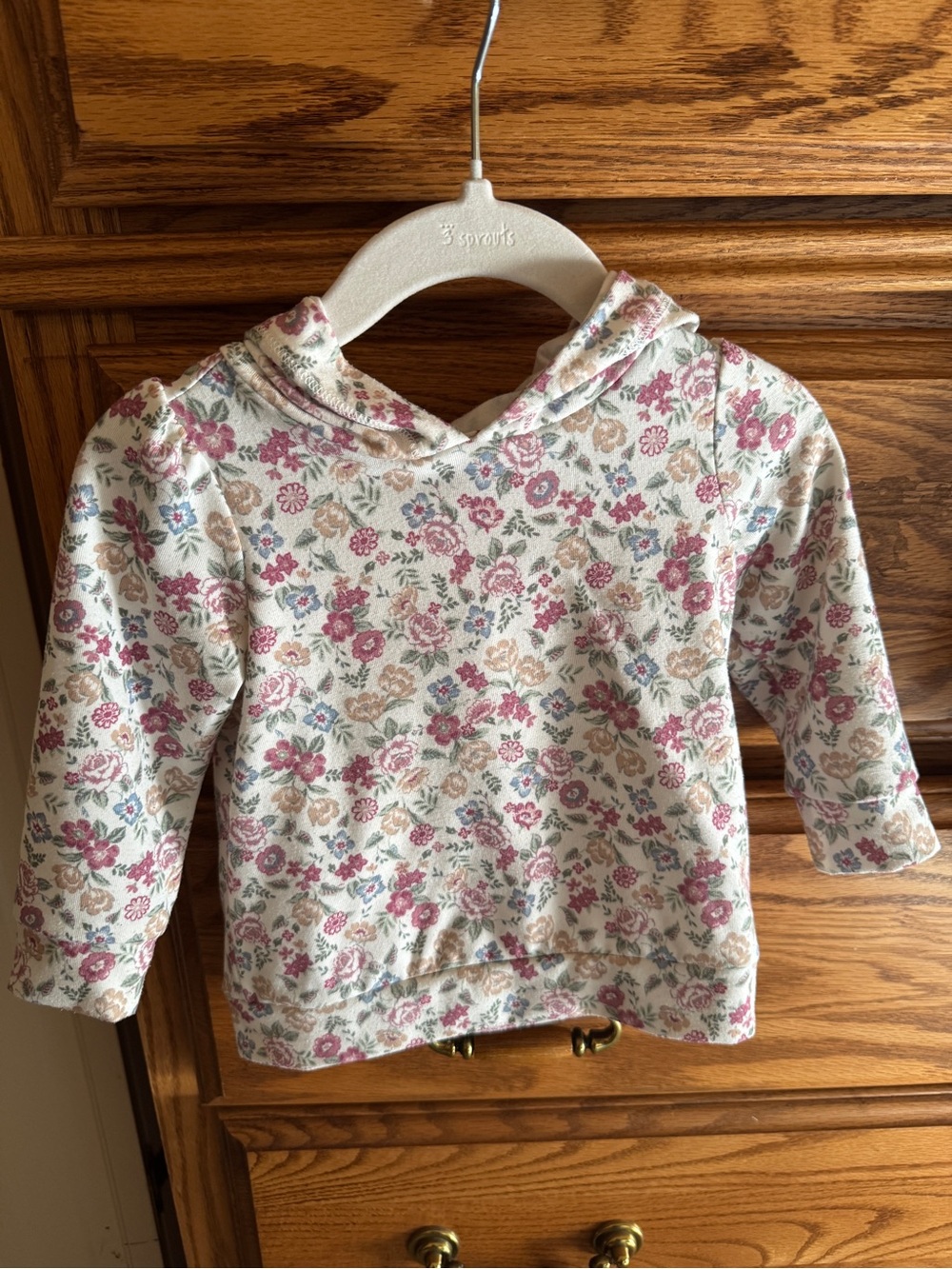 Janie & Jack Floral Hooded Sweatshirt, size 6-12 months